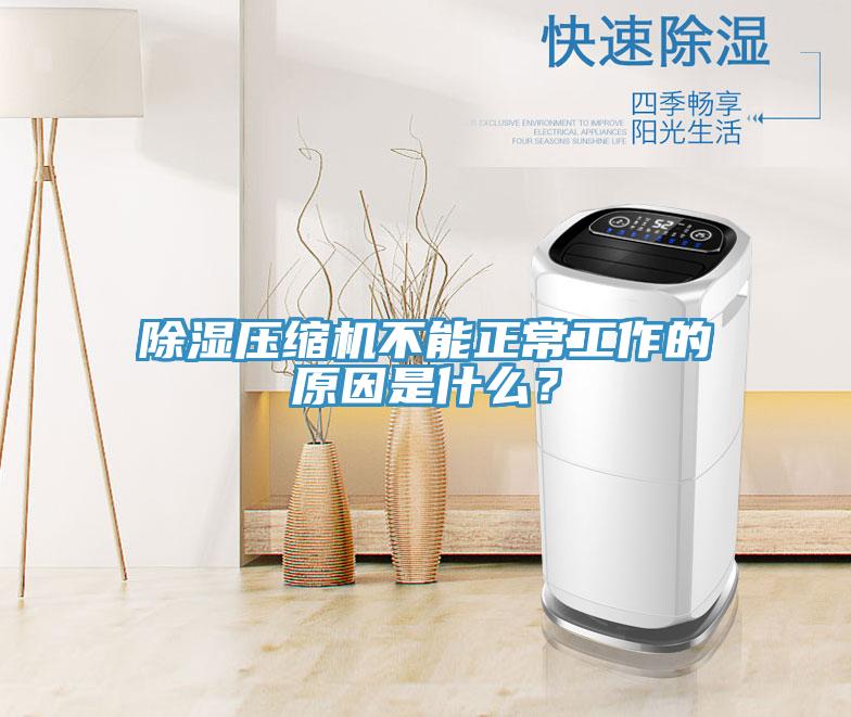 除濕壓縮機(jī)不能正常工作的原因是什么?