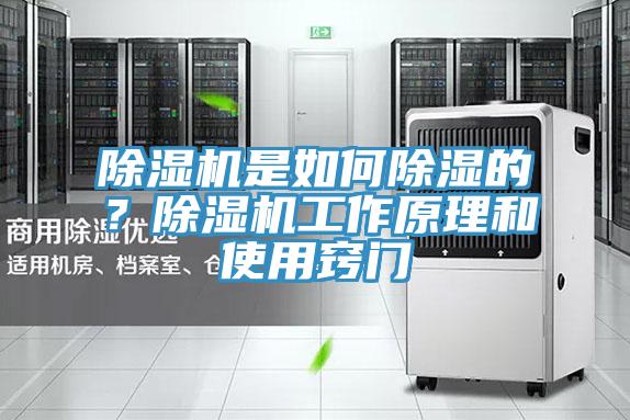 除濕機是如何除濕的？除濕機工作原理和使用竅門