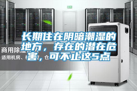 長期住在陰暗潮濕的地方，存在的潛在危害，可不止這5點