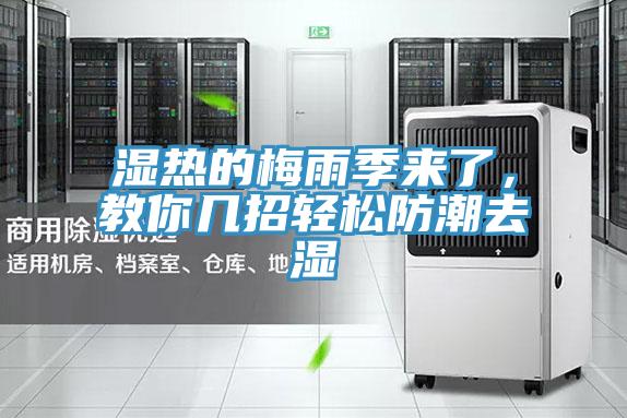 濕熱的梅雨季來(lái)了,教你幾招輕松防潮去濕