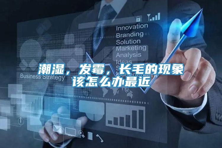 潮濕,發霉,長毛的現象該怎么辦最近