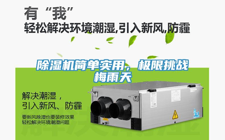 除濕機簡單實用,極限挑戰梅雨天