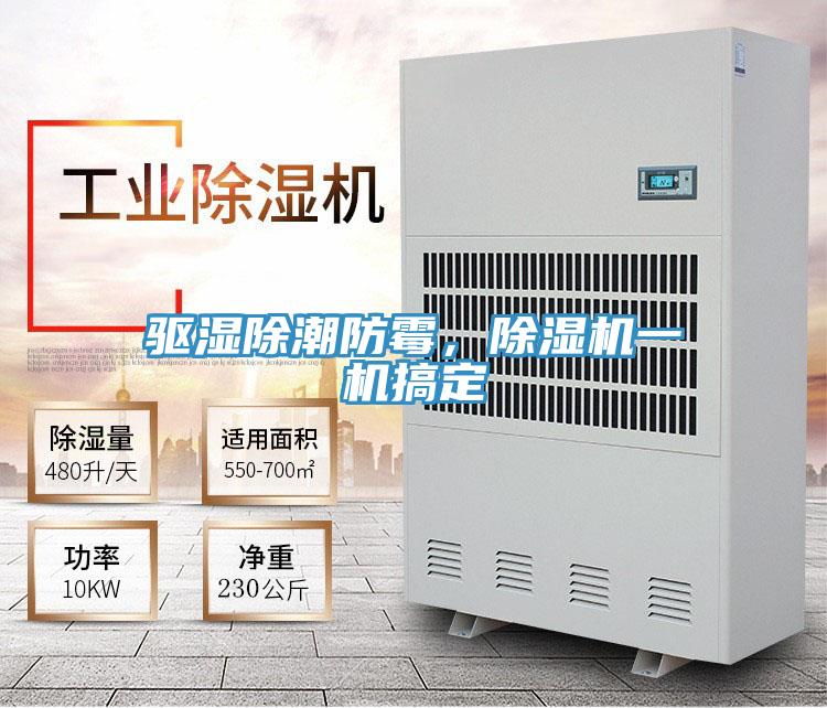 驅濕除潮防霉，除濕機一機搞定