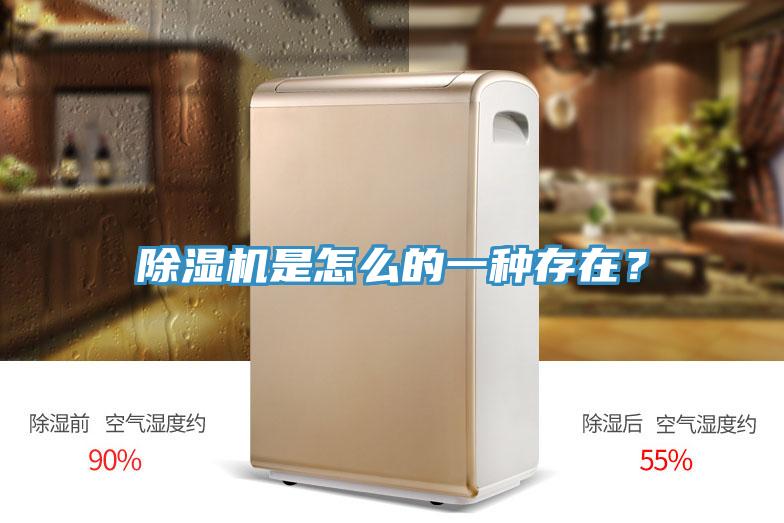 除濕機是怎么的一種存在？