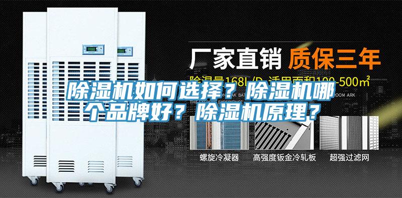 除濕機如何選擇?除濕機哪個品牌好?除濕機原理?