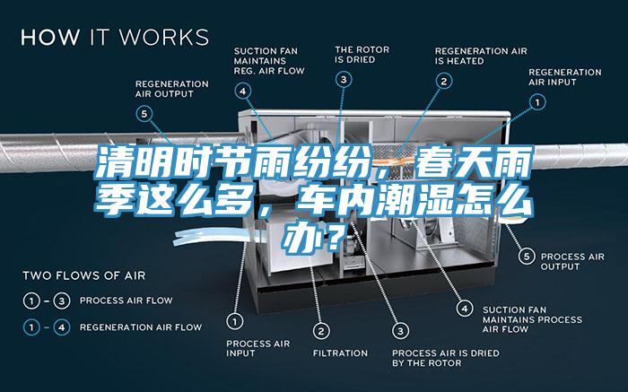 清明時節(jié)雨紛紛,春天雨季這么多,車內(nèi)潮濕怎么辦?
