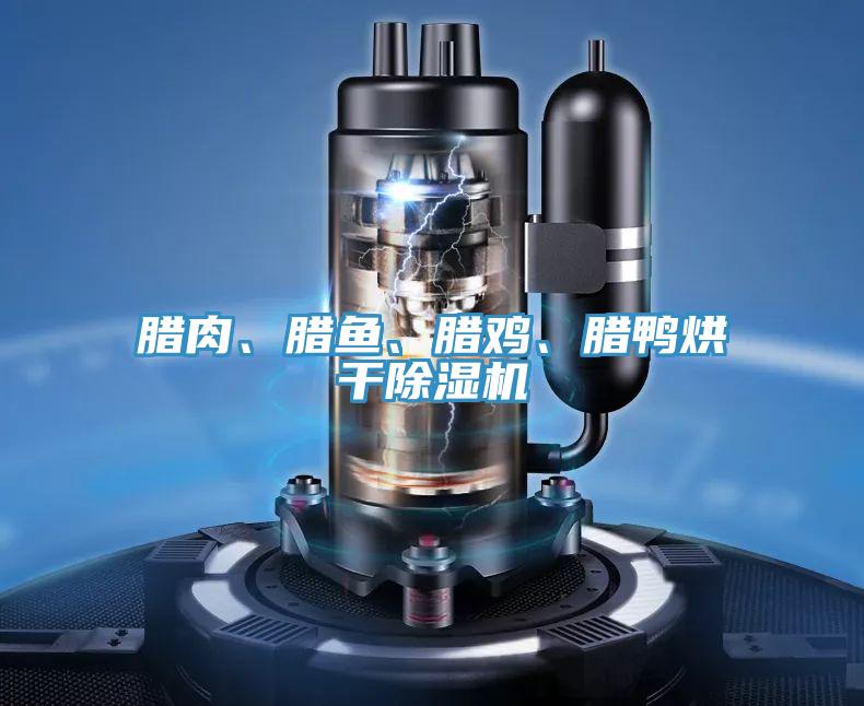 臘肉、臘魚、臘雞、臘鴨烘干除濕機