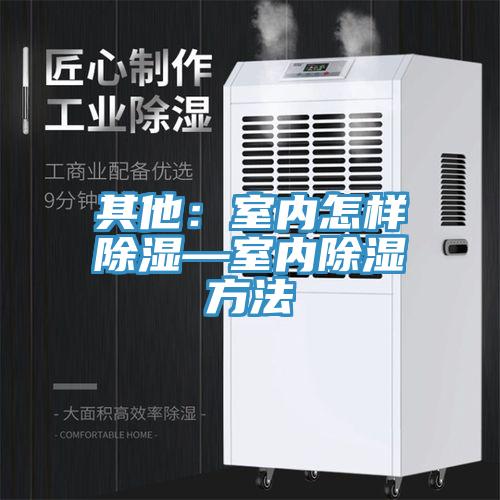 其他:室內(nèi)怎樣除濕—室內(nèi)除濕方法