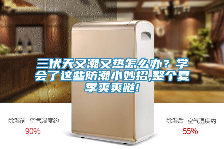 三伏天又潮又熱怎么辦？學(xué)會了這些防潮小妙招,整個夏季爽爽噠!