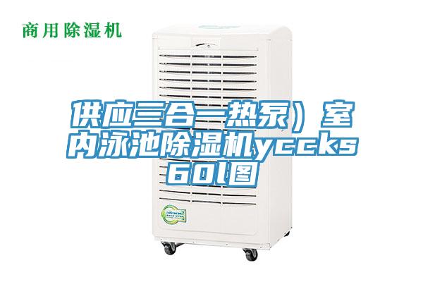 供應三合一熱泵)室內泳池除濕機yccks60l圖