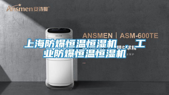 上海防爆恒溫恒濕機 ，工業防爆恒溫恒濕機