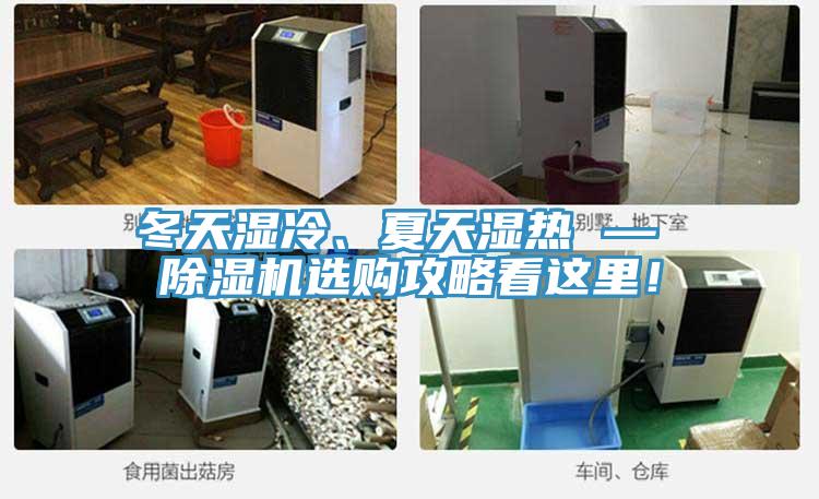 冬天濕冷、夏天濕熱 — 除濕機選購攻略看這里！