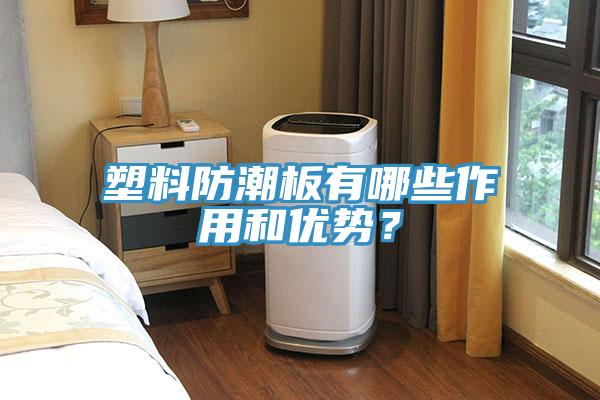 塑料防潮板有哪些作用和優(yōu)勢(shì)？