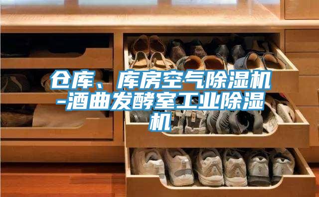 倉庫、庫房空氣除濕機-酒曲發酵室工業除濕機