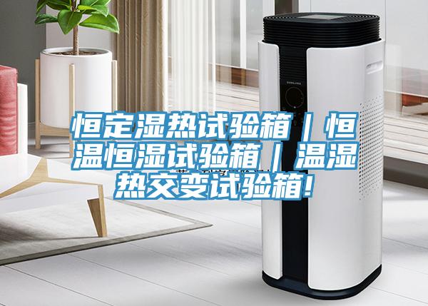恒定濕熱試驗(yàn)箱｜恒溫恒濕試驗(yàn)箱｜溫濕熱交變試驗(yàn)箱!