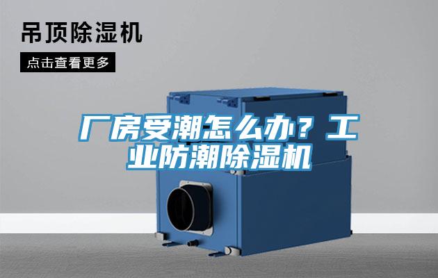 廠房受潮怎么辦？工業防潮除濕機