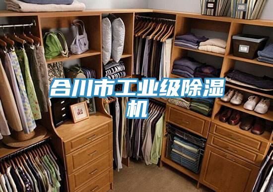 合川市工業級除濕機