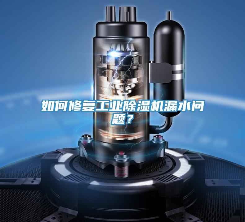如何修復(fù)工業(yè)除濕機漏水問題？