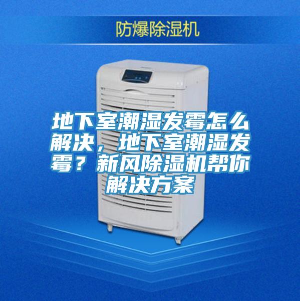 地下室潮濕發(fā)霉怎么解決，地下室潮濕發(fā)霉？新風(fēng)除濕機(jī)幫你解決方案