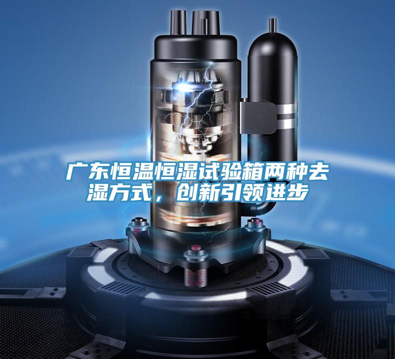廣東恒溫恒濕試驗箱兩種去濕方式，創新引領進步