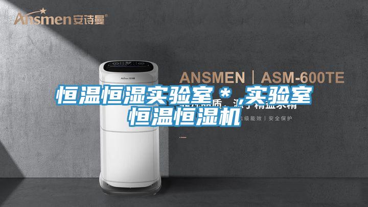 恒溫恒濕實驗室*,實驗室恒溫恒濕機