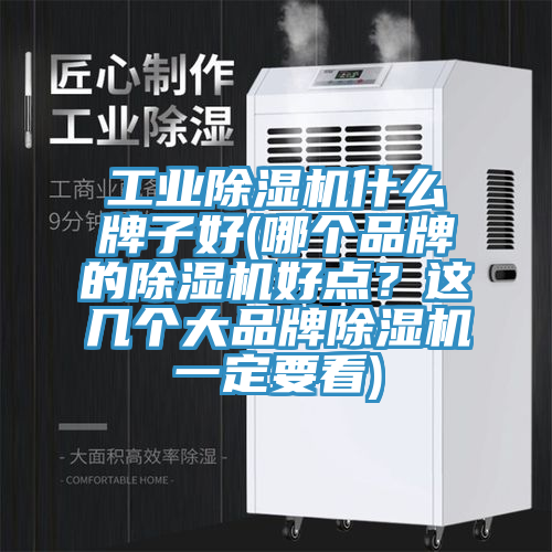 工業(yè)除濕機(jī)什么牌子好(哪個(gè)品牌的除濕機(jī)好點(diǎn)？這幾個(gè)大品牌除濕機(jī)一定要看)