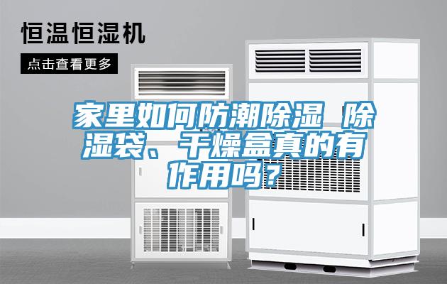 家里如何防潮除濕 除濕袋、干燥盒真的有作用嗎?