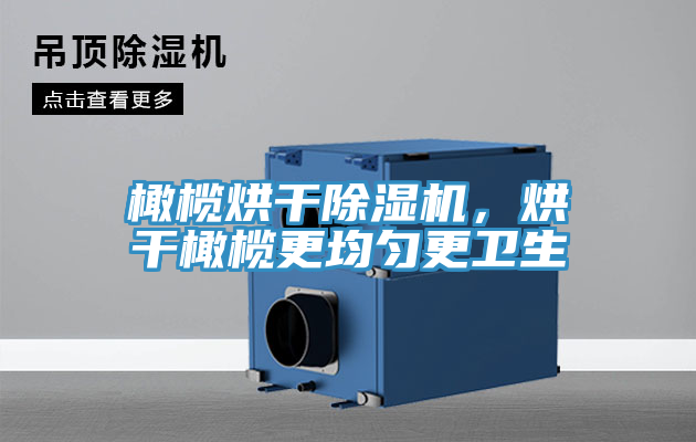 橄欖烘干除濕機(jī)，烘干橄欖更均勻更衛(wèi)生