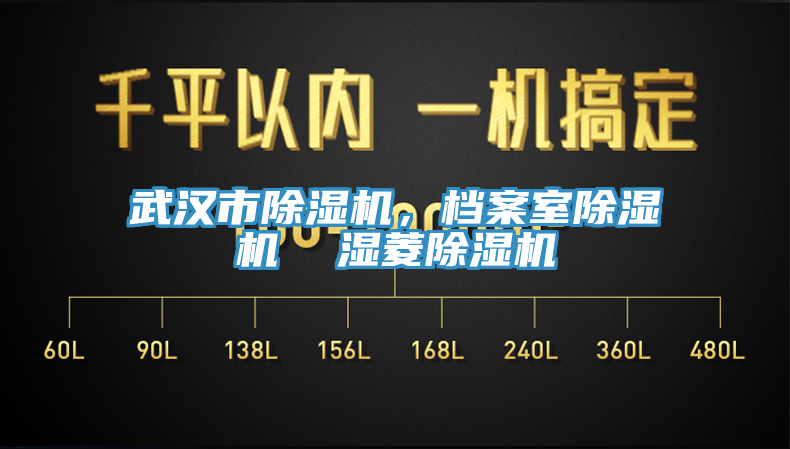 武漢市除濕機,檔案室除濕機 濕菱除濕機