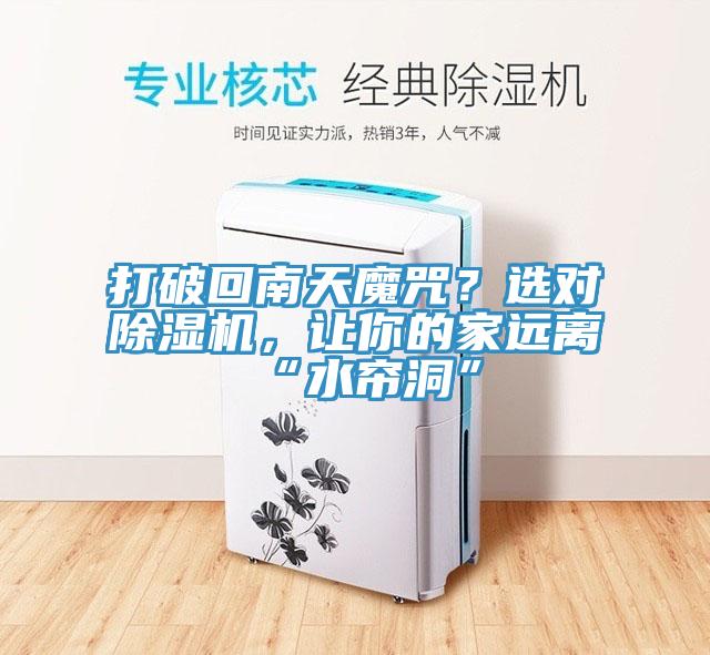 打破回南天魔咒？選對除濕機，讓你的家遠離“水簾洞”