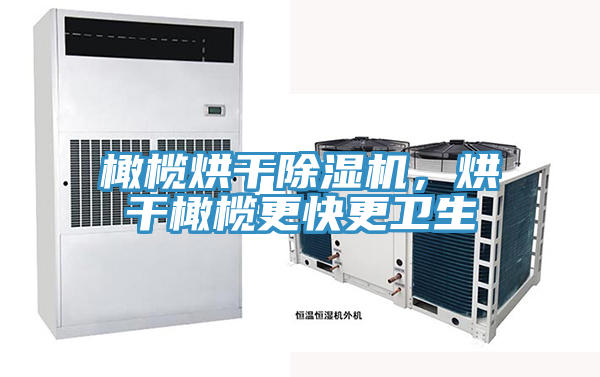 橄欖烘干除濕機(jī)，烘干橄欖更快更衛(wèi)生