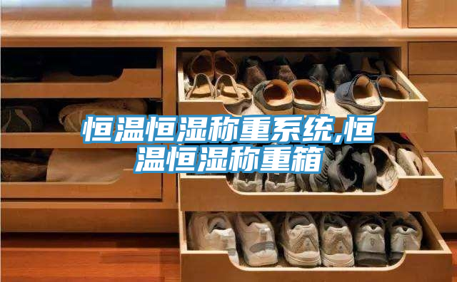 恒溫恒濕稱(chēng)重系統(tǒng),恒溫恒濕稱(chēng)重箱