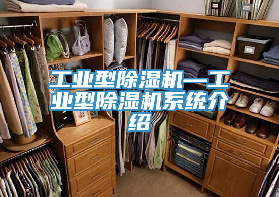工業型除濕機—工業型除濕機系統介紹