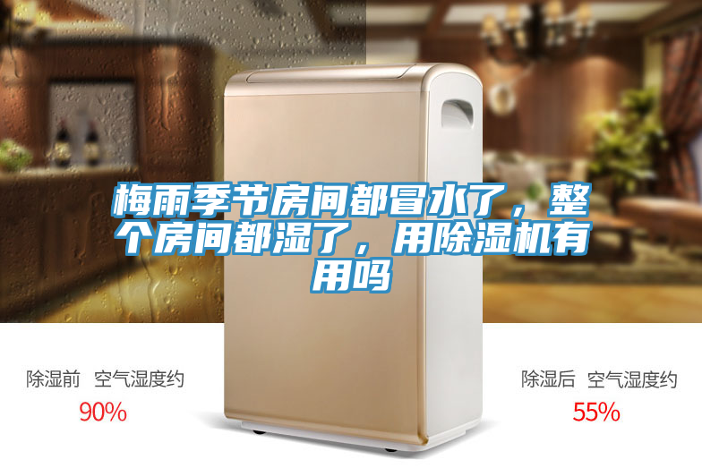 梅雨季節(jié)房間都冒水了，整個房間都濕了，用除濕機(jī)有用嗎