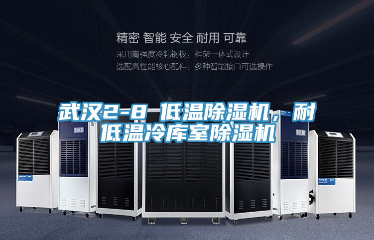 武漢2-8℃低溫除濕機,耐低溫冷庫室除濕機