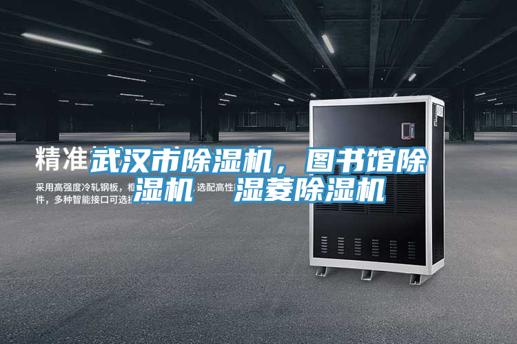 武漢市除濕機,圖書館除濕機 濕菱除濕機