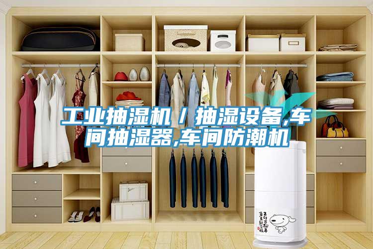 工業抽濕機/抽濕設備,車間抽濕器,車間防潮機