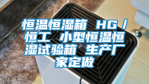 恒溫恒濕箱 HG/恒工 小型恒溫恒濕試驗箱 生產廠家定做