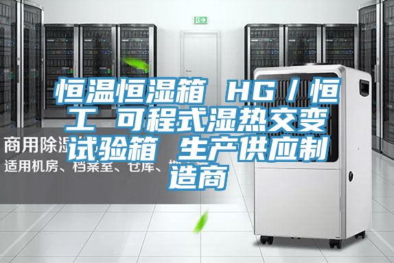 恒溫恒濕箱 HG/恒工 可程式濕熱交變試驗箱 生產供應制造商