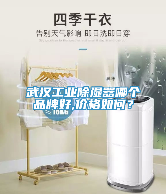 武漢工業除濕器哪個品牌好,價格如何?