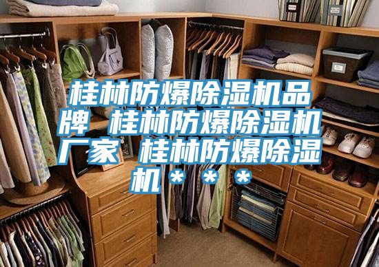桂林防爆除濕機品牌 桂林防爆除濕機廠家 桂林防爆除濕機***
