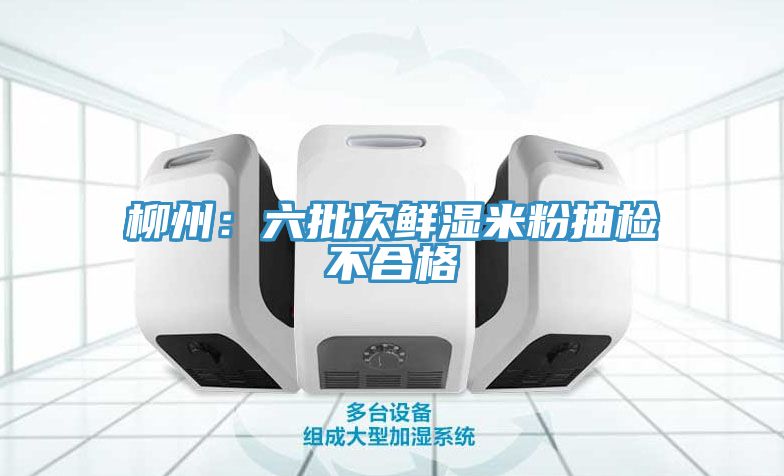 柳州:六批次鮮濕米粉抽檢不合格