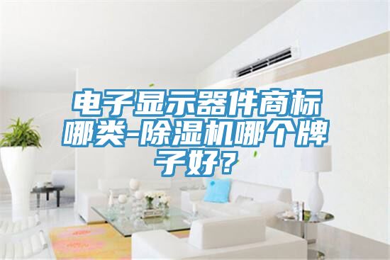 電子顯示器件商標哪類-除濕機哪個牌子好？