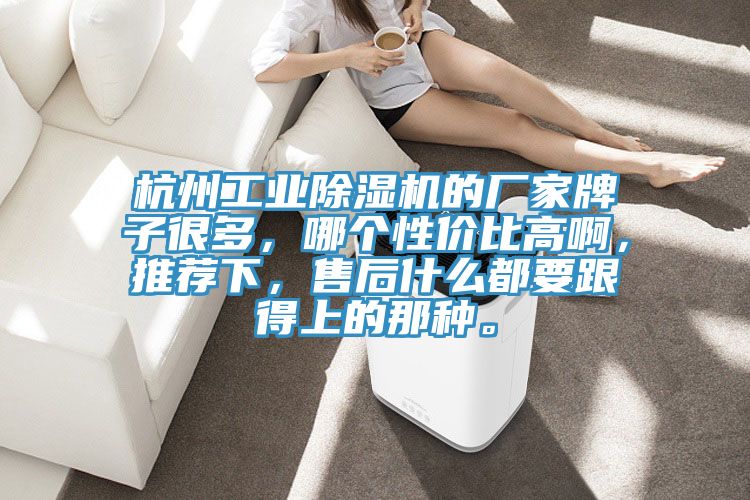 杭州工業(yè)除濕機(jī)的廠家牌子很多，哪個(gè)性價(jià)比高啊，推薦下，售后什么都要跟得上的那種。