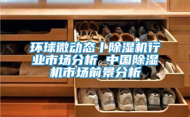 環(huán)球微動(dòng)態(tài)丨除濕機(jī)行業(yè)市場(chǎng)分析 中國(guó)除濕機(jī)市場(chǎng)前景分析