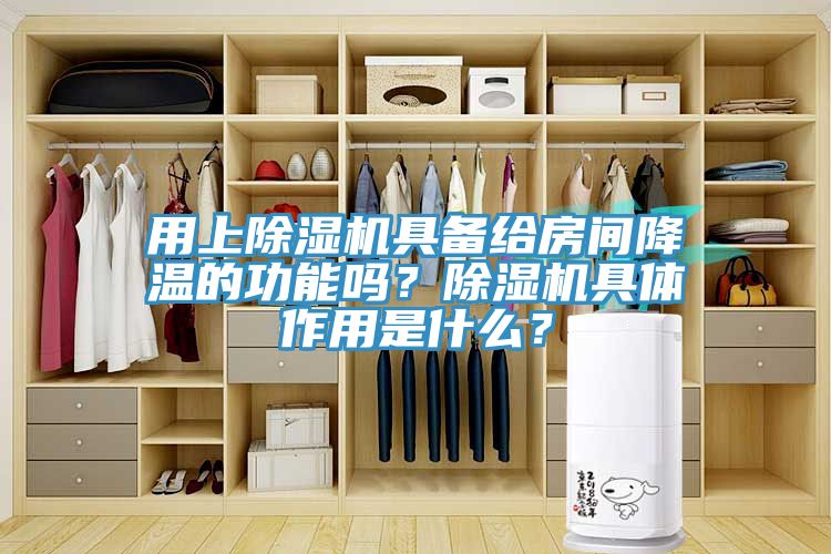 用上除濕機具備給房間降溫的功能嗎？除濕機具體作用是什么？