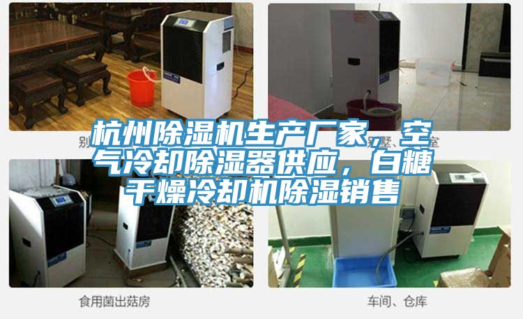 杭州除濕機(jī)生產(chǎn)廠家，空氣冷卻除濕器供應(yīng)，白糖干燥冷卻機(jī)除濕銷售