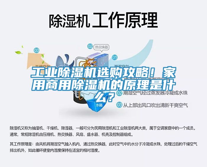 工業(yè)除濕機選購攻略！家用商用除濕機的原理是什么？
