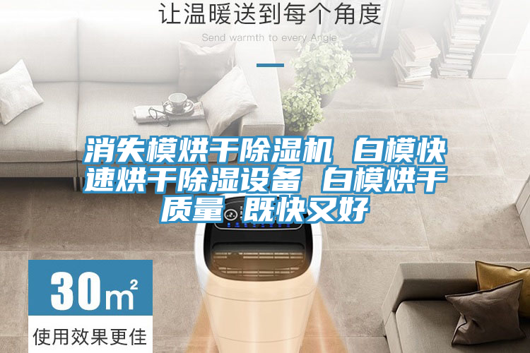 消失模烘干除濕機(jī) 白模快速烘干除濕設(shè)備 白模烘干質(zhì)量 既快又好