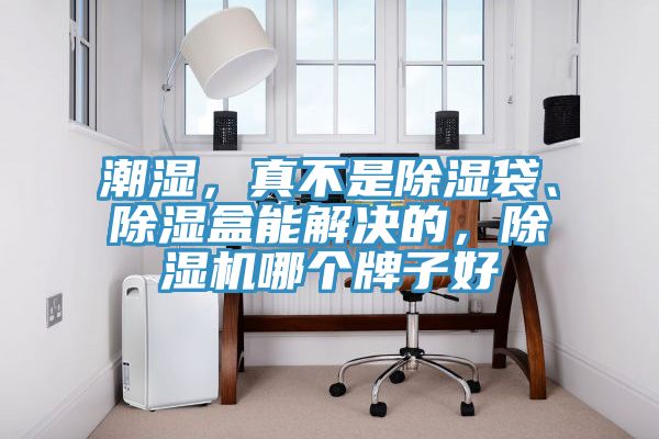 潮濕，真不是除濕袋、除濕盒能解決的，除濕機(jī)哪個(gè)牌子好
